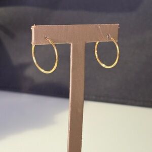 Small Gold Hoop Earrings